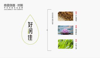 专业农业品牌策划设计 大米面粉杂粮包装设计 沈阳奇思创意 商品优稻 温润佳享 好润佳